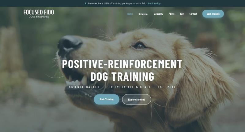 Focused Fido Training website preview